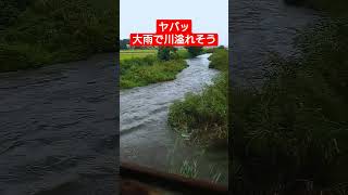 大雨で川の水量が急に増えて、溢れそう❗#shorts