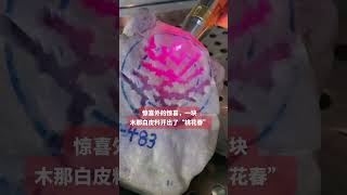 #翡翠原石 #美石分享 #翡翠文化 这一块翡翠开窗料，重约1100克#翡翠原石#美石分享#翡翠文化这块翡翠开窗料，重约1100克