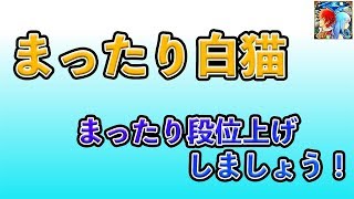 【白猫】まったり白猫　まったりと段位上げしよう！　ライブ