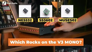 NE5532 vs SS3602 vs MUSES02! Different Op-Amps Showdown on the Fosi Audio V3 MONO Power Amp!