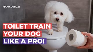 How to Train Your Dog to Use the Toilet Seat (Yes, Really!) 🚽🐶