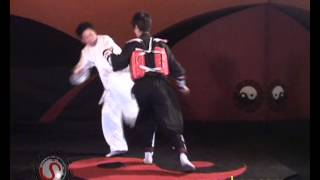 Bagua applications - Tian Family Yinyang Baguazhang