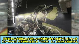 日ハム、大谷翔平に『エスコンフィールド永久フリーパス』という特権を与える【日ハム なんJ 反応集】ドジャース ファイ