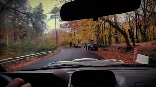 საბადურის ტყე შემოდგომას - Driving through Sabaduri Forest, Georgia, Autumn colors.