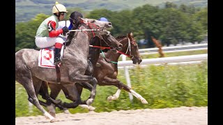 Life in Cotswolds - Horse racing - Cheltenham racecourse #5