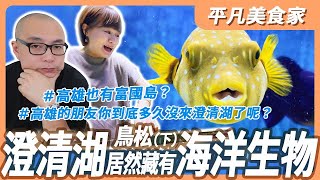 【鳥松(下)】高雄最富行政區除了美食居然還有海生館!! ｜平凡五金行