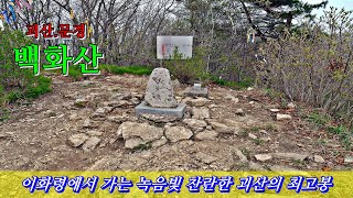 백화산...이화령에서 가는 녹음빛 찬란한 괴산의 최고봉