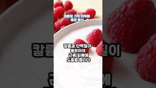 여름철 기력 회복에 좋은 음식