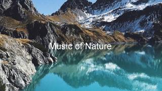 Rain Sounds for Sleeping or Studying  l Music Of Nature