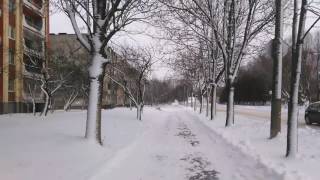 A walk in Baranovichi snow