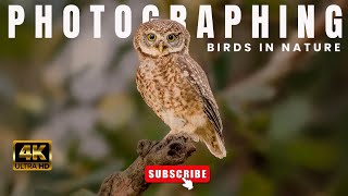 Wildlife Moments CAUGHT ON CAMERA That Will Leave You Speechless! | Bird photography in Hindi