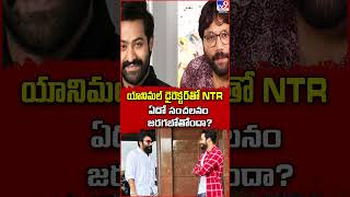 Jr. NTR meets Sandeep Reddy Vanga | యానిమల్ డైరెక్టర్‌తో NTR.. సంచలనంగా ఏదో జరగబోతోంది? - TV9