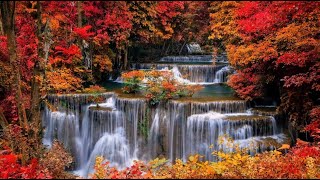 Autumn Waterfall Paradise: Serene Nature Sounds for Relaxation \u0026 Meditation