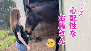 お馬さん「あ～…心配だなぁ」