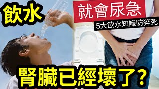 千萬要注意！一喝水「就想排尿」說明腎臟「是好還是壞？」醫生提醒「當尿液出現3個表現」可能是腎病信號！