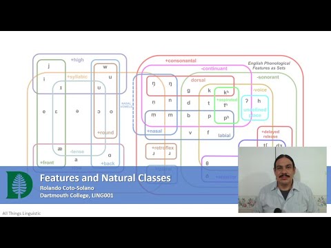 What are the natural classes of English sounds?