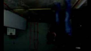 Bree Does the Rake Jump from Jackass 2!!!