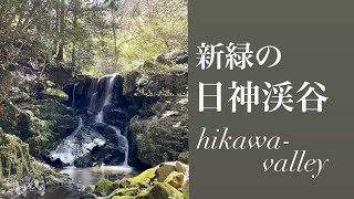 新緑の日神渓谷　〜三重県津市美杉町太郎生〜