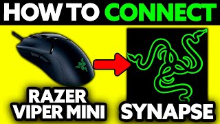 How To Connect Razer Viper Mini to Synapse (2025) - Step by Step