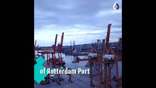 ZERO BRINE | Field visit of the Rotterdam Port