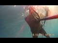 hitman spearfishing mpafa2