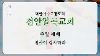 천안 알곡교회 주일오전예배 241117