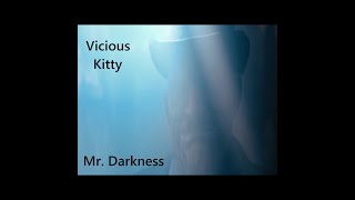 Vicious Kitty - Mr Darkness (Official Music Video)