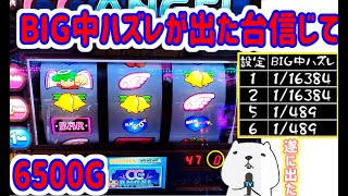 カピバラくん　CCエンジェル　BIG中ハズレ出現！設定56を信じて6500G　＃242