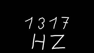 1317 hz