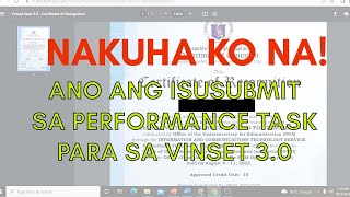 VINSET 3.0 PERFORMANCE TASK TUTORIAL IN 15 MINUTES