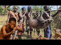 Hunt to Survive | Amazing How Hadzabe Thrive in the WILD