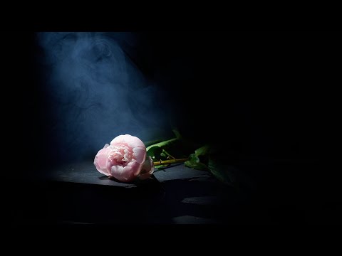 Lighting tips and techniques for creative still life photography.