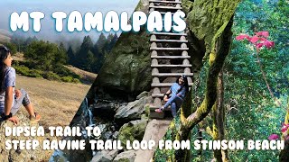 Dipsea Trail to Steep Ravine Trail Loop in Mt Tamalpais | Anika Bhat