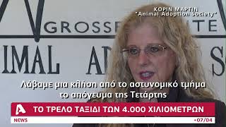 Μίσκα: Ο σκύλος που χάθηκε και βρέθηκε στην άλλη άκρη των ΗΠΑ | AlphaNews Live