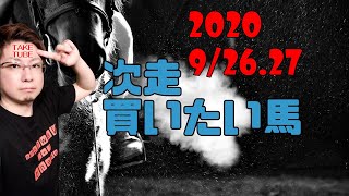 【次走買いたい馬】キャロライナリーパ・ウルトラマリン・ワイドレッジャドロ・エレヴァート【ウルトラマリンが危険だった理由と次走買いたい理由】