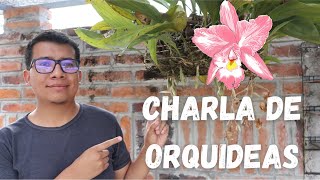 Charla de orquídeas #6 - ¿Por qué las Orquídeas que NO FLORECEN?