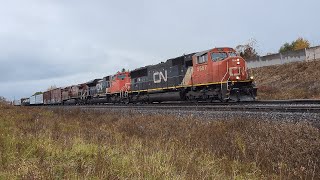 CP AC44CW ON CN! CN M397 - 5667W at Tansley - October 30. 2023