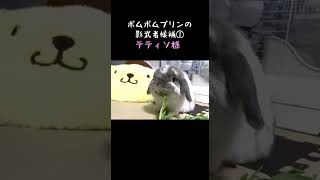 【衝撃】草を発見してしまったうさぎはどうなる！？ #SHORT