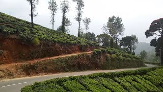 Nallamudi View Point and Aliyar Dam