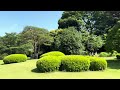 shinjuku gyoen the most popular garden in tokyo japan