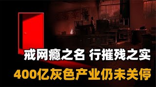 中国到底有多少个杨永信？价值400亿的灰色产业，至今仍难以取缔