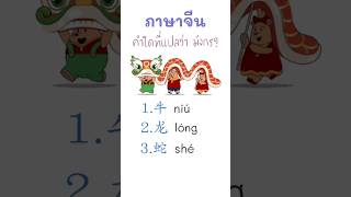 ภาษาจีน คำใดที่แปลว่า มังกร?