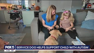 Service dog helps support child with autism