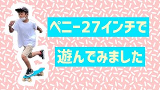 わが家にニッケルがやって来た