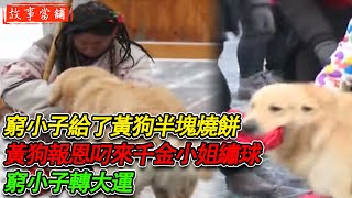 窮小子給了討食黃狗半塊燒餅，黃狗報恩叼來千金小姐招親繡球，窮小子轉大運 | 民間故事 | 故事當舖