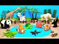 Safari Animals Video - Learn Wild Zoo Animals Name with Fun Playset For Kids