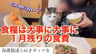 【猫と貧乏女】１月残りの食費です。在庫の食糧を大事に大事に食べてます。お酒買っちゃいましたが、、、。