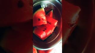 💯🍉🍉🍉এই প্রচন্ড গরমে একটু সস্তির আভাস #shorts #viral #trending #shortsyoutube #Labonir Songsar