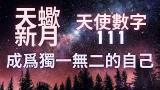 2024年11月 天蠍新月宇宙能量 天使數字111 内在力量 隱藏天賦 影子工作 成爲獨一無二的版本的自我#天蠍#新月#111#天使數字