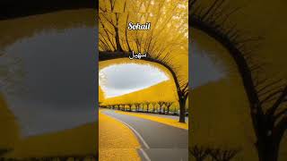 Sohail name meaning #islamicvideo #islamicstatus